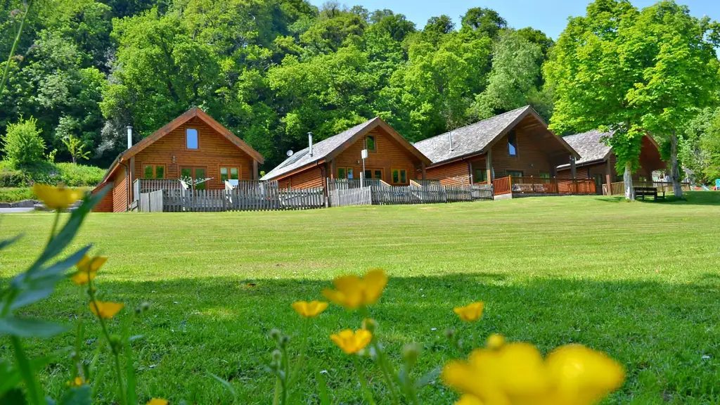 Coombe Meadow (formerly Coombe Mill)